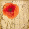 POPPY SCRIPT I Poster Print by Taylor Greene - Item # VARPDXTGSQ038A