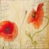 POPPY SCRIPT II Poster Print by Taylor Greene