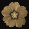 Sepia Floral A1 Poster Print by Taylor Greene - Item # VARPDXTGSQ042A1