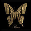 Peace Gold Butterfly Poster Print by Taylor Greene - Item # VARPDXTGSQ044B