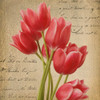 RED TULIP I ON GOLD Poster Print by Taylor Greene - Item # VARPDXTGSQ055A