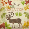 ELK B2 Poster Print by Taylor Greene - Item # VARPDXTGSQ072B2