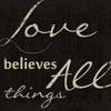 LOVE BELEIVES ALL Poster Print by Taylor Greene - Item # VARPDXTGSQ073B