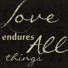 LOVE ENDURES ALL D Poster Print by Taylor Greene - Item # VARPDXTGSQ073D