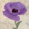 PLUM POPPY II Poster Print by Taylor Greene
