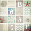 Neutral Beach Poster Print by Taylor Greene - Item # VARPDXTGSQ358B