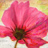 Red Poppy II Poster Print by Taylor Greene - Item # VARPDXTGSQ363B