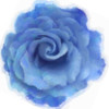 Blue Rose Poster Print by Taylor Greene - Item # VARPDXTGSQ364C