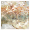 Shell Abstract 1 Poster Print by Taylor Greene