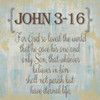 John 3-16 Poster Print by Taylor Greene - Item # VARPDXTGSQ376B