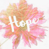 Hope Daisy Poster Print by Taylor Greene - Item # VARPDXTGSQ380A