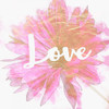 Love Daisy Poster Print by Taylor Greene - Item # VARPDXTGSQ380B