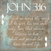 John 3-16 Poster Print by Taylor Greene - Item # VARPDXTGSQ387D1