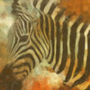Global Zebra Poster Print by Taylor Greene - Item # VARPDXTGSQ397B