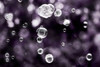 Bubbly Poster Print by Tracey Telik - Item # VARPDXTKRC119A