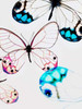 Glasswings Poster Print by Tracey Telik - Item # VARPDXTKRC143