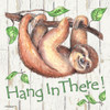 Sloth Poster Print by Todd Williams - Item # VARPDXTWM397