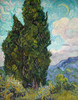 Cypresses, 1889 Poster Print by Vincent Van Gogh - Item # VARPDXV731D