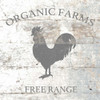 Organic Farm Poster Print by Brown,Victoria Brown - Item # VARPDXVBSQ073A