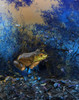 Frog I Poster Print by Popcorn Popcorn - Item # VARPDXWJTANI00019