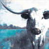 Cow Close Up Poster Print by White Ladder White Ladder - Item # VARPDXWL129