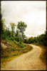 Winding Country Road Poster Print by Suzanne Foschino - Item # VARPDXZFRC257A