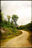 Winding Country Road Poster Print by Suzanne Foschino - Item # VARPDXZFRC257A