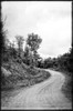 Country Winding Road Poster Print by Suzanne Foschino - Item # VARPDXZFRC257A1