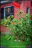 Country Store Sunflowers Poster Print by Suzanne Foschino - Item # VARPDXZFRC258A