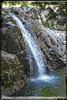 Back Country Waterfall Poster Print by Suzanne Foschino - Item # VARPDXZFRC260A