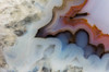 Banded agate close-up Poster Print by Darrell Gulin (24 x 18) # US48DGU1776