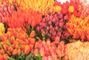 Tulips for sale. Poster Print by Stuart Westmorland - Item # VARPDDUS48SWR0715