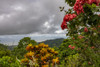 Puntarenas, Costa Rica Poster Print by Peter Hawkins - Item # VARPDDSA22PHA0008