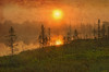 Canada. Wetland sunrise. Poster Print by Jaynes Gallery - Item # VARPDDNA03BJY0001