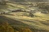 Europe, Italy, Tuscany, Val d'Orcia Poster Print by John Ford (24 x 18) # EU16JFO0072