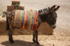 Skoura Palmeraie, Morocco. Donkey. Poster Print by Jolly Sienda - Item # VARPDDAF29JSI0052