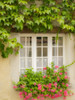 Claude Monet's home, Giverny, France Poster Print by Sylvia Gulin - Item # VARPDDEU09SGU0021