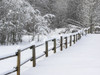 USA, Washington State. Snow covered fence Poster Print by Terry Eggers - Item # VARPDDUS48TEG1219