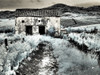 Italy, Sicily, Trapani. Alcamo countryside Poster Print by Terry Eggers - Item # VARPDDEU16TEG1507