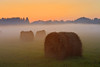 Canada, Ontario. Bales and fog at twilight. Poster Print by Jaynes Gallery - Item # VARPDDCN08BJY0233