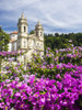 Bom Jesus do Monte complex with bright flowers Poster Print by Terry Eggers - Item # VARPDDEU23TEG0503