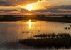 Welder Flats at sunrise, San Antonio Bay, Texas Poster Print by Maresa Pryor - Item # VARPDDUS44MPR0178