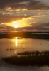 Welder Flats at sunrise, San Antonio Bay, Texas Poster Print by Maresa Pryor - Item # VARPDDUS44MPR0179