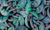 Grouping flowers of the Jade Vine, Maui, Hawaii Poster Print by Darrell Gulin (24 x 18) # US12DGU0270