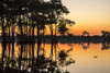 USA, Louisiana, Lake Martin. Sunrise on swamp.  Poster Print by Jaynes Gallery - Item # VARPDDUS19BJY0086