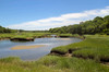 Wetlands, Barnstable, Cape Cod, Massachusetts, Usa Poster Print by Susan Pease (24 x 18) # US22SPE1172