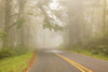 Cape Perpetua State Park, Oregon Coast, USA Poster Print by Stuart Westmorland - Item # VARPDDUS38SWR0162