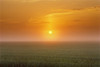 Canada, Manitoba. Sunrise on wheat field in fog. Poster Print by Jaynes Gallery - Item # VARPDDCN03BJY0444 Canada, Manitoba. Sunrise on wheat field in fog. Poster Print by Jaynes Gallery - Item # VARPDDCN03BJY0444