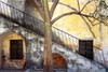 Mexico, Queretaro. Tree and weathered stairway.  Poster Print by Jaynes Gallery - Item # VARPDDSA13BJY0252