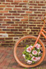 USA, Washington D.C. Georgetown. painted bicycle Poster Print by Walter Bibikow - Item # VARPDDUS09WBI0263